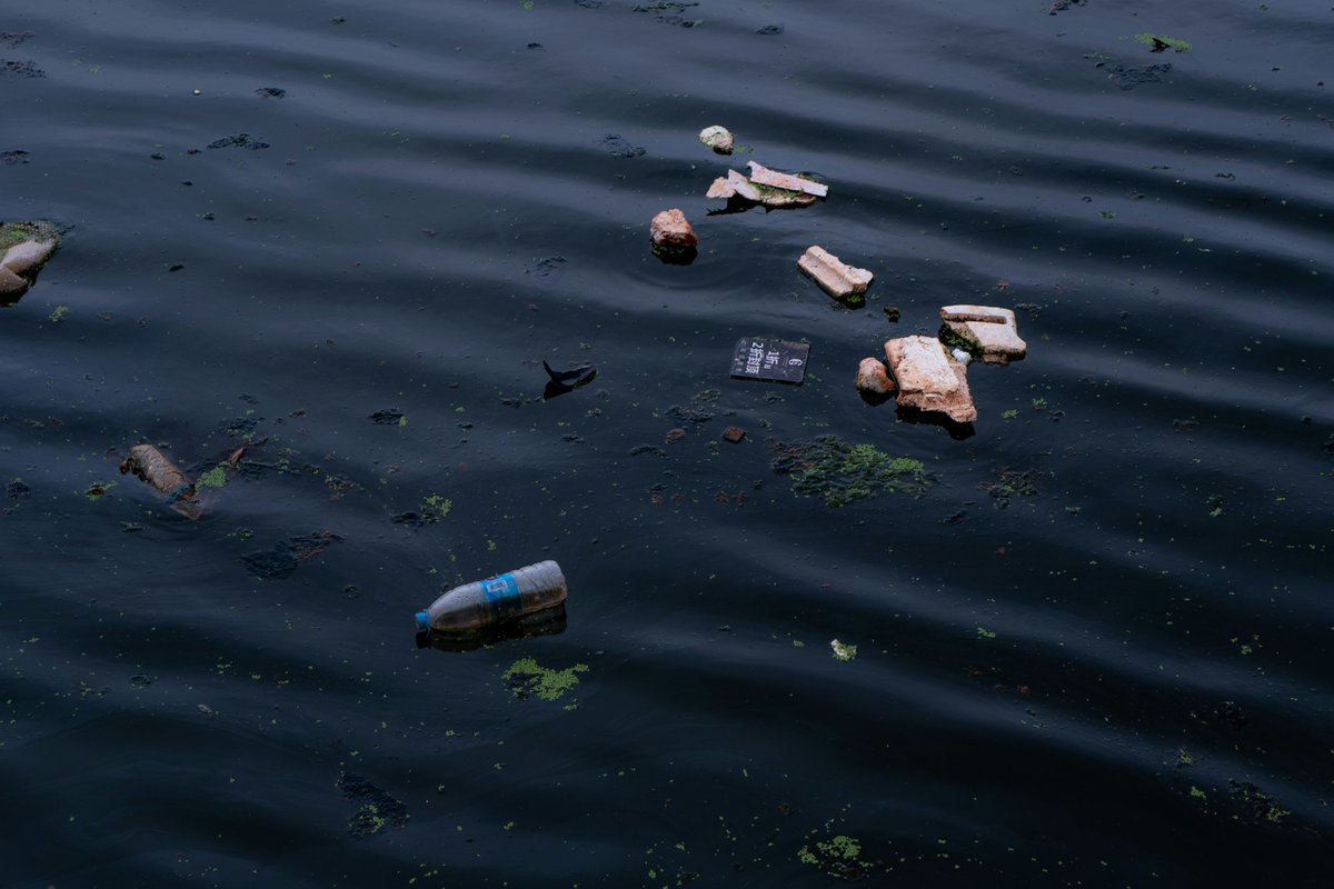 The rising global threat of river pollution 🌊

As France prepares for the Olympics, the Parisian government are facing the ultimate hurdle: river pollution, which threatens some of the game’s biggest events 🏊

#Pollution #WaterQuality #WaterSafety #RiverPollution #ClimateChange