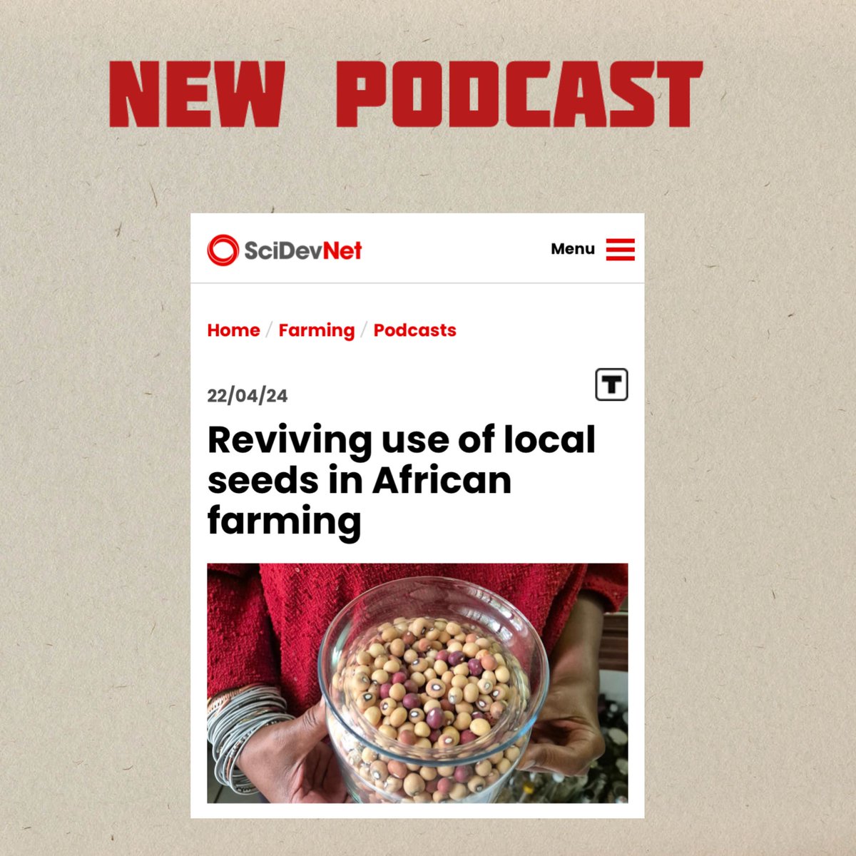 Local crops and seeds are often neglected in Africa, despite their nutritional and environmental benefits.

In this episode seed diversity researchers indicates ways African farmers can increase the use of indigenous seeds.

LISTEN: scidev.net/global/podcast…