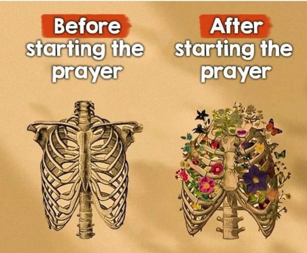 aqeelasif1997's tweet photo. Prayer adds order,peace and beauty to your life ✨ https://t.co/UivIHZtIcT