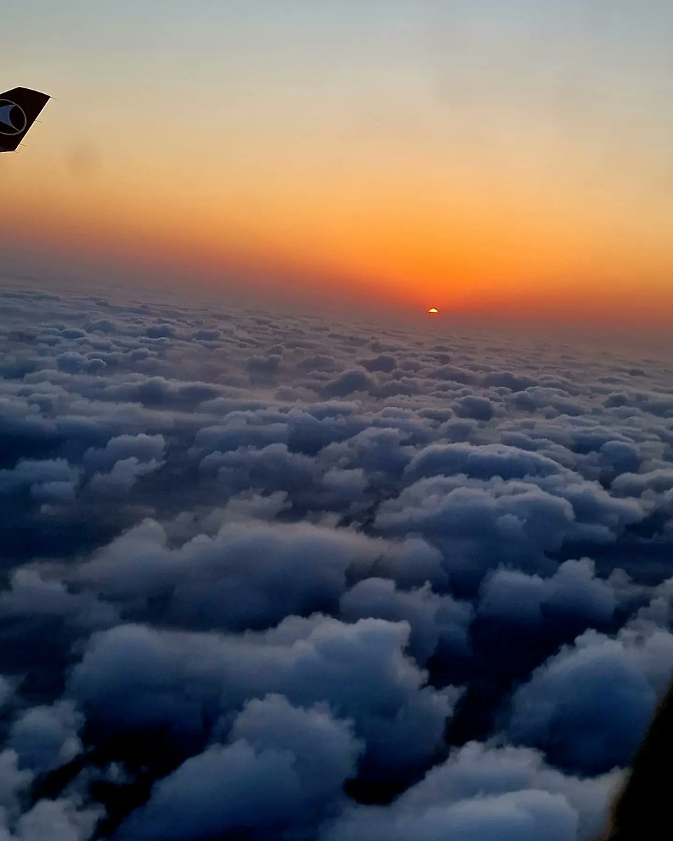 Shigufta khan tweet media