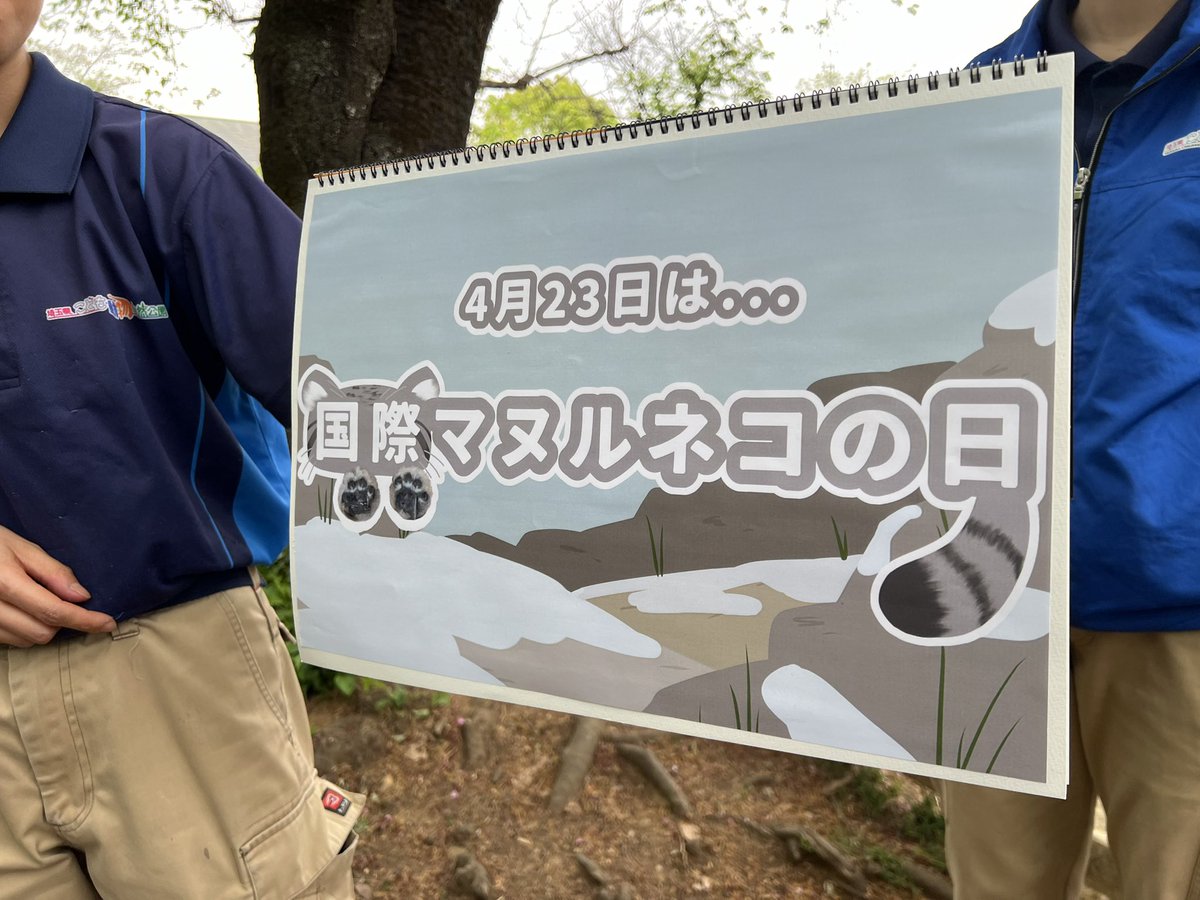 ManulTabitan's tweet photo. ポスターには書いてなかったのだけど、イベント2日目の21日には「飼育の日」のイベントのリレーガイドで #マヌルネコ があって。
自作フリップによる30分弱びっしりわかりやすくて熱のある内容。隣の牛さんも参加して下さって本当に大変良かった。
全世界に配信してほしい。
#国際マヌルネコの日 https://t.co/xFVGvqxJiX