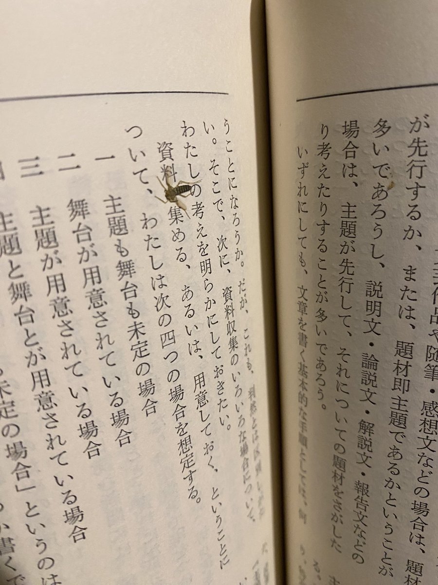 bubbacosima's tweet photo. 古本を読んでいたら蚊が挟まれていた
ジュラシックパークのはじまり、、、🦟🩸 https://t.co/Y9YTU1KUsG
