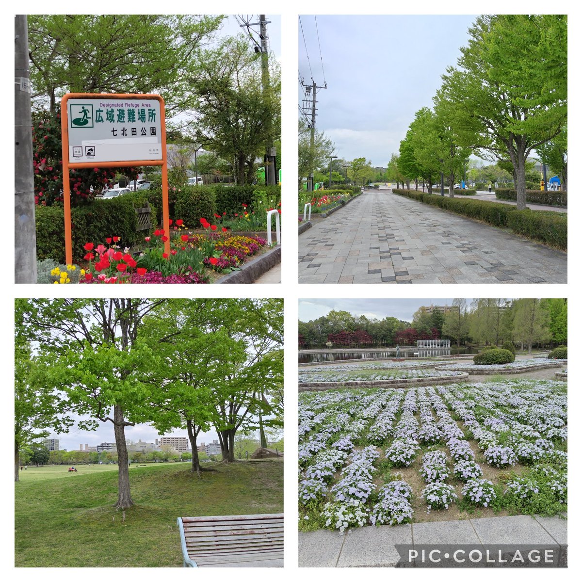 GOFEST2024の会場になる七北田公園に見学に行って来ました🏳
俺が近くに住んでいた頃とほとんど変わってなくて、当時を思い出して懐かしみました✨😭 #ポケモンGOpokemonGO #宮城県仙台市七北田公園