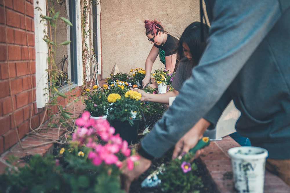 New research by @LBUHealth + @localitynews shows the importance of community organisations in reducing health inequalities. 🔗bit.ly/3Qa4B2n The report recommends that national health strategies include the roles of community anchors. #powerofcommunity #LBUPolicyWeek24