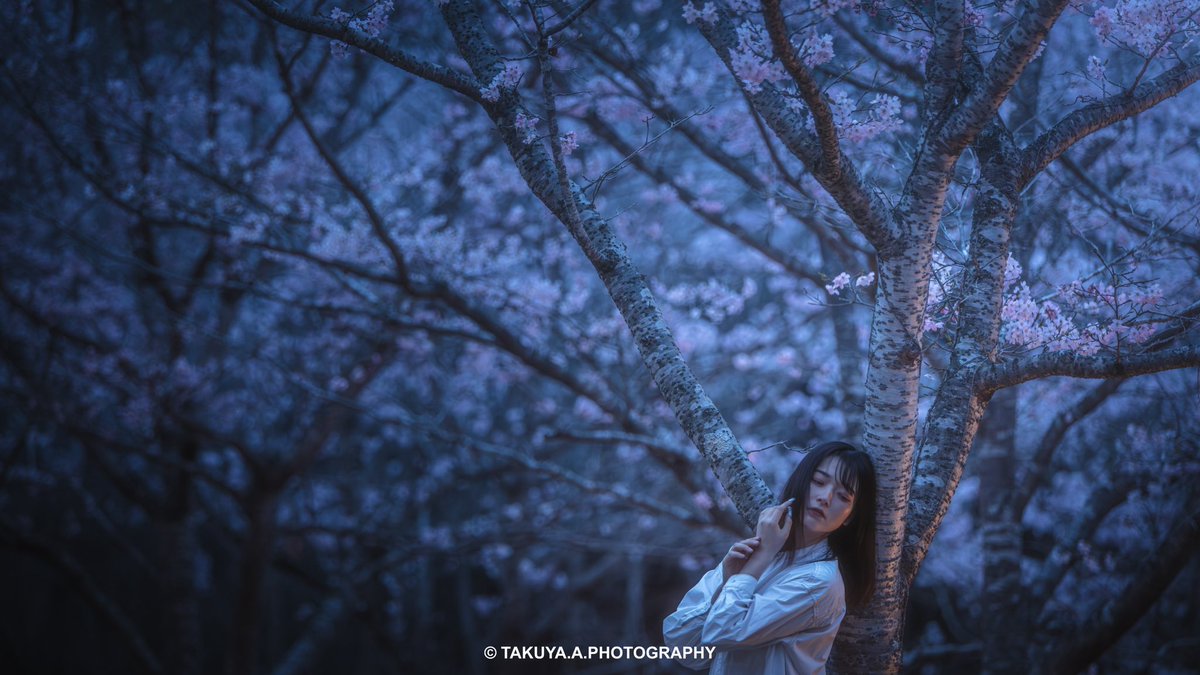 . . Location:秘密 Model:愛花さん@loveflower_0216 . . #ポートレート #桜 . .