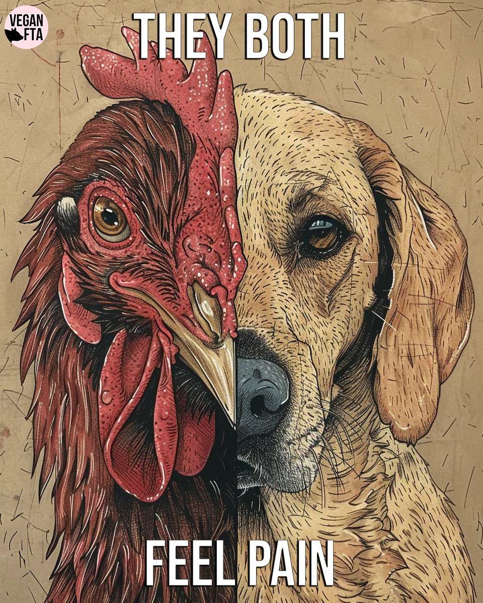So why treat them so differently? 🐔🐶

There is no fundamental difference. Both are equally deserving of their lives. 🙏

Go vegan. 💚

👉 Help support our nonprofit and our global activism projects: veganfta.com/donate

🎨 VeganFTA

#chickens #dogs #animals #illustration