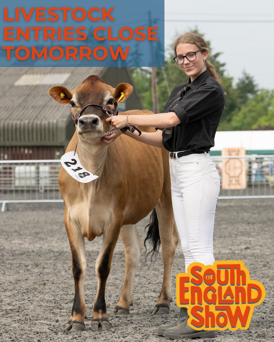 Livestock entries for the #SouthofEnglandShow close at midnight TOMORROW, 24th April!
We are providing increased benefits and support to livestock exhibitors 👉 ow.ly/kF1l50RjHc4
For the schedule and to enter 👉 ow.ly/Rahk50RjHcY