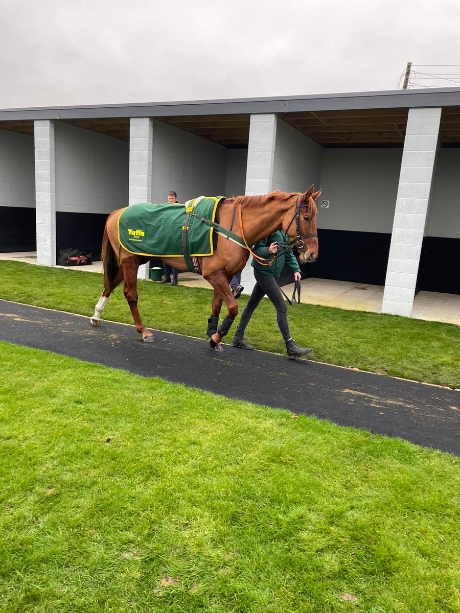 We have two runners today @Southwell_Races. Valence d'Aumont (2.18) and Rialannah (4.05) both will be ridden by @NickScholfield1. #SSRacing 🏇.