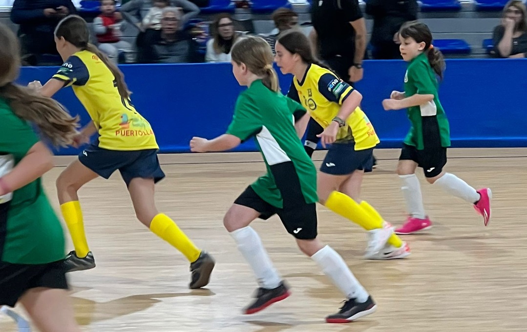 FUTSAL | 👇🏼 Grupos y calendarios del playoff autonómico Juvenil, Cadete e Infantil Valenta 📎 ffcv.es/wp/blog/2024/0… #SomFutsal