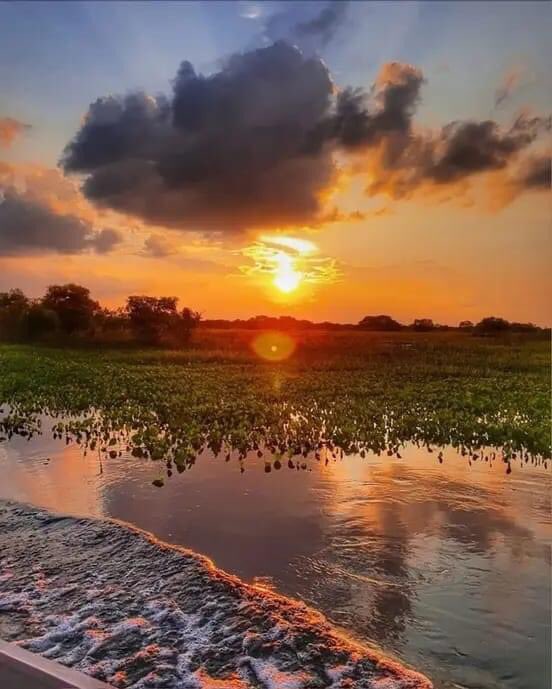 Maravilloso atardecer Nuestros LLANOS MANTECAL …Edo Apure VENEZUELA 🇻🇪🇻🇪🇻🇪🇻🇪🇻🇪🇻🇪🇻🇪🇻🇪🇻🇪🇻🇪🇻🇪🇻🇪🇻🇪🇻🇪🇻🇪 Créditos: Lelis Lelita Bultron