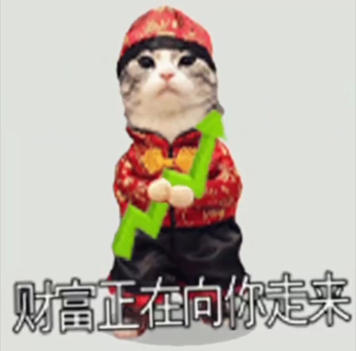 Viral cat from China named $BAO 💰 

It’s a CTO now and can see this doing numbers DYOR

CA: ByQ75t1BhPJ2CwiUKcwqxDautT6vjdw74kzRUwKofxNs

dexscreener.com/solana/DisYK82…