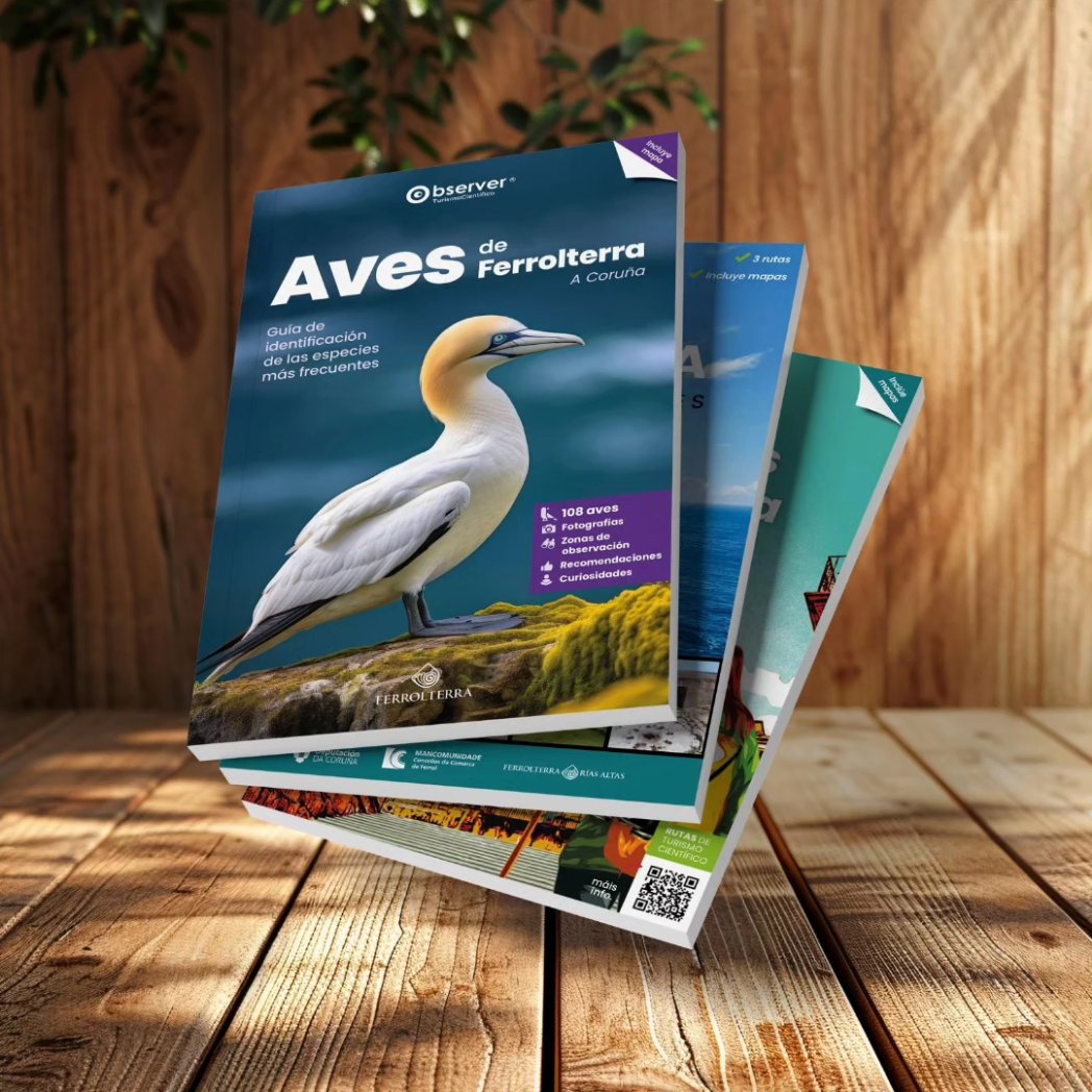 Observer®ScienceTourism tweet media