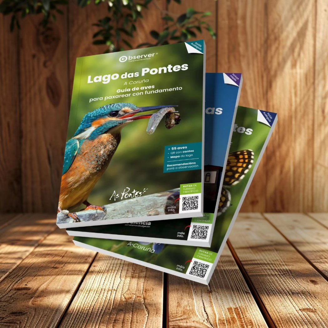 Observer®ScienceTourism tweet media
