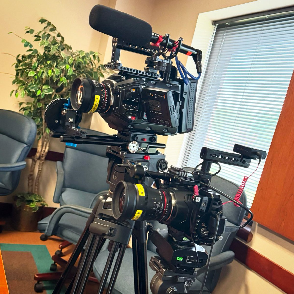 QB Films LLC tweet media