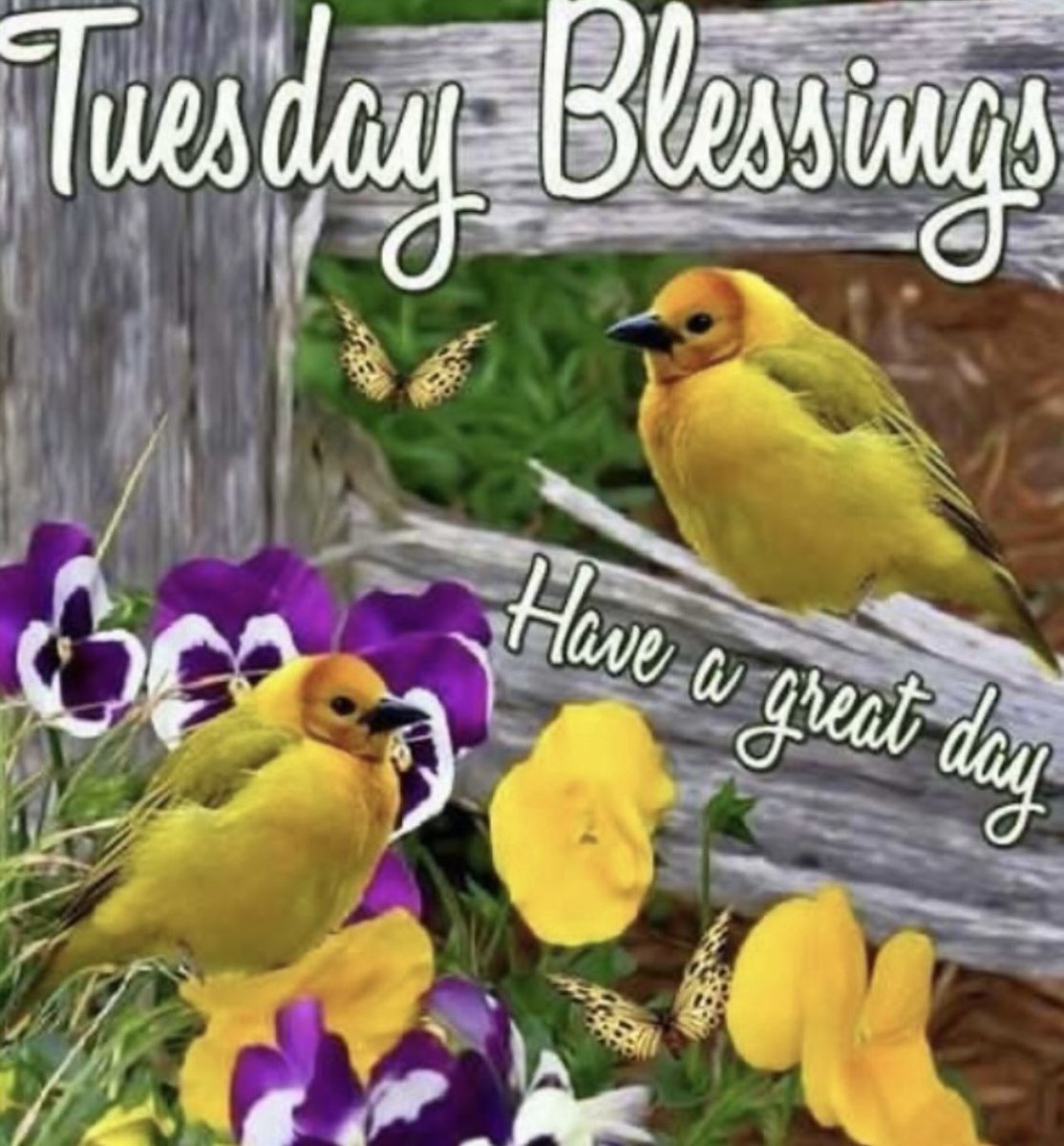 Good morning to all my family and peeps around the globe 🌎 🙏🏽💛 #goodmorning #bekind #tuesdayvibe #tuesdaymotivations