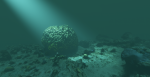 JuanRaulPadron's tweet photo. "Real-Time Underwater Spectral Rendering" @nestor_mnz @diego__guti @dakkaynak @adolfo__munoz @GILabUZ. Today at 15:30-17:00 in Eurographics!  

Clever analytical approximation and great implementation in Unity. Fun demo with different sensors and optical water types ☀️🌊📷 https://t.co/sv9s7vI9RA