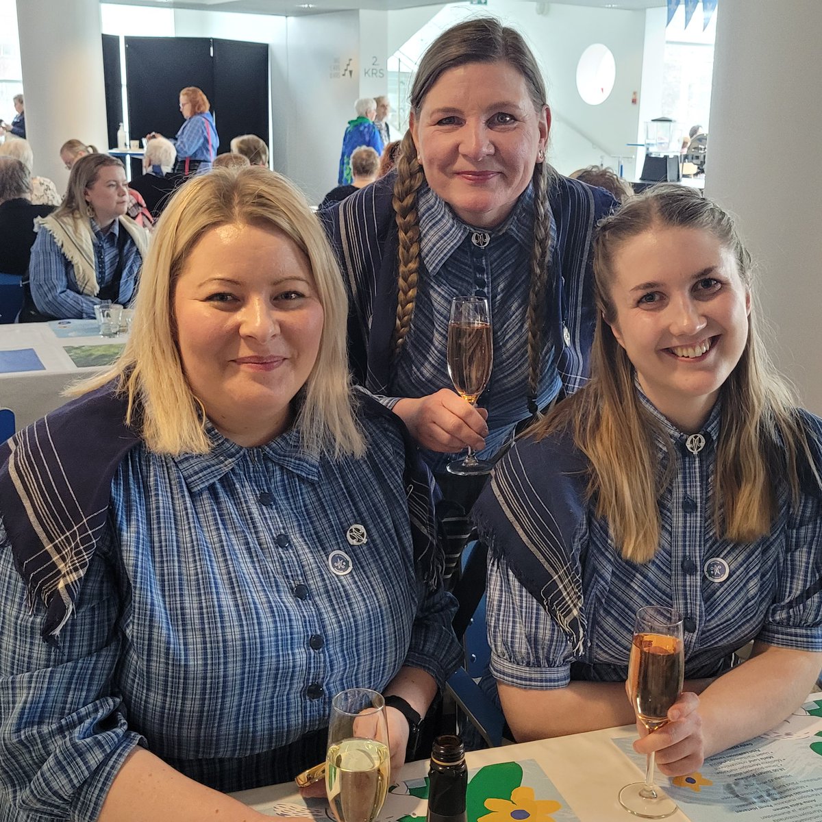 TuijaBiskop's tweet photo. Viikonlopun #martat125 juhlat olivat kyllä upea kokonaisuus. Sai tavata marttoja vuosien varrelta, käydä Tampereen kaupungin vastaanotolla upealla Raatihuoneella. #tamperetalo juhlagaalan ja ML vuosikokouksen paikkana oli toimiva ja sijainniltaan erinomainen. Kiitos martat. https://t.co/5izTTzA1Dw