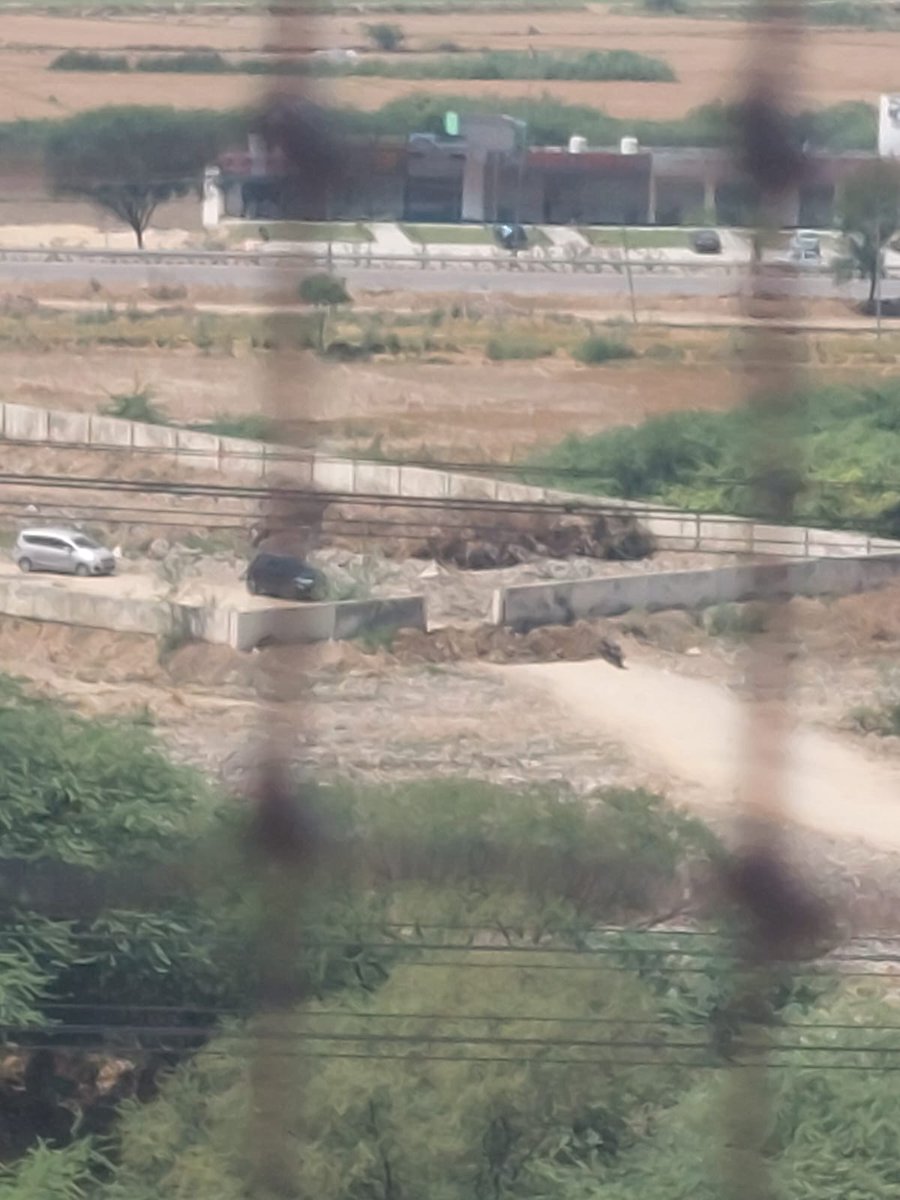 suzeraintykl's tweet photo. @rakeshdaultabad @BJPHaryana @MunCorpGurugram @OfficialGMDA more then 4000 people staying in this society. How government can plan to block them inside the society? Is government planning a House arrest for us? What is the plan? Why all this? https://t.co/mU3LAtfqkT
