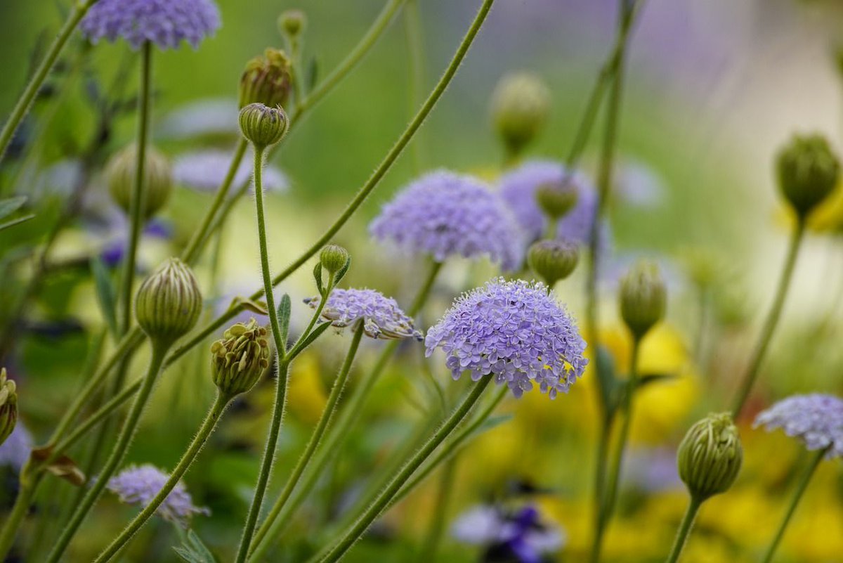 Health tip for the day, 'Spend as much time as you can in nature, it's the best way to stay healthy ' #HealthyHabits #Mindfulness #SelfCare #selflove #selfrespect #radicalselfcare.