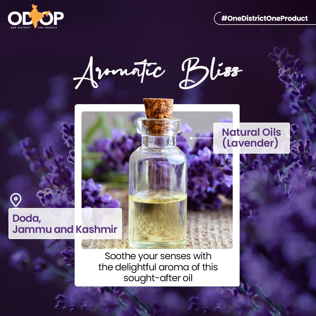 Extracted via steam distillation process, the natural #lavenderoil from #JammuandKashmir is known for its:

✅Relaxing properties
✅Therapeutic benefits

Dive deeper into the world of natural wellness at bit.ly/II_ODOP

#InvestIndia #InvestInIndia #ODOP #NaturalOils…