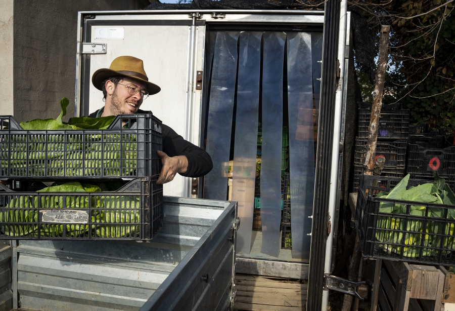 🌱«M’agrada que la meva feina no sigui prescindible»

Celebrem #SantJordi🌹 amb la nostra entrevista a Pol Dunyó, pagès agroecològic de <a href="/mosaicagrari/">El Mosaic</a> i autor del llibre “Estripar la terra”👉 diba.cat/web/bcn-smart-…

#NovaPagesia #BancsdeTerres #BCNSmartRural
