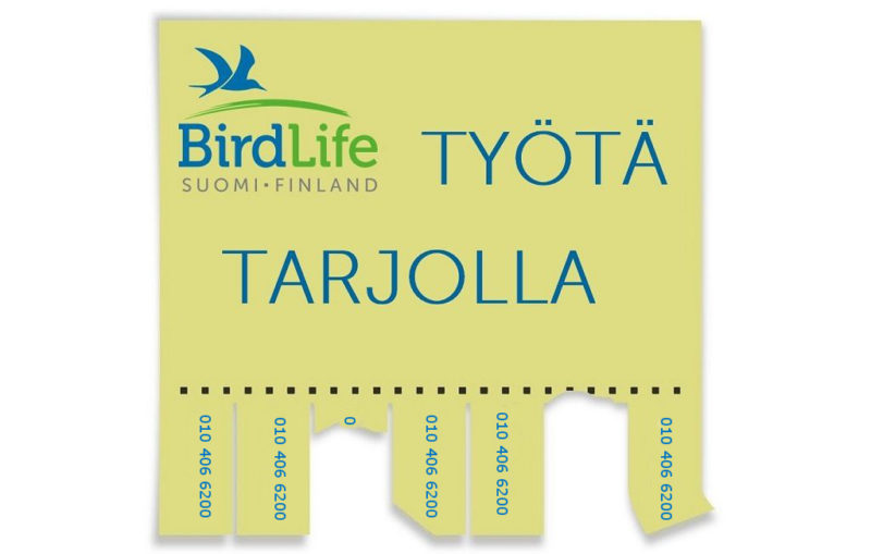 Ovatko lintuharrastus, linnut ja niiden hyvinvointi sinulle tärkeitä? BirdLifessa on tarjolla työpaikka juuri sinulle. Haemme #viestintäasiantuntija’a kokopäiväiseen vakituiseen työsuhteeseen.

birdlife.fi/rekry/
#linnut #lintuharrastus #rekry #rekrytointi #Avoimet Työpaikat