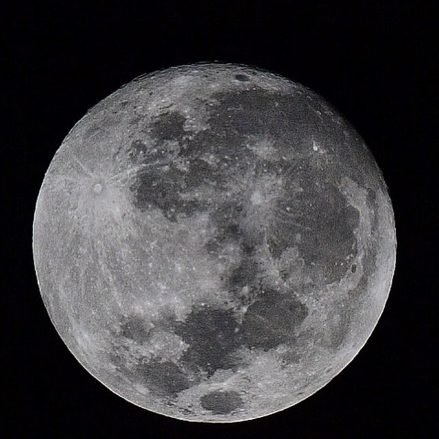 Alexandre Vidal tweet media