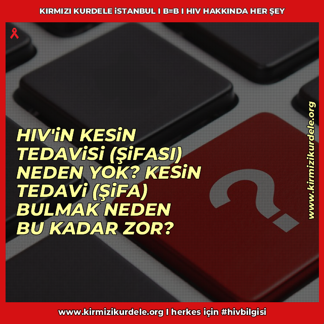 En sık sorulan sorulardan, en çok merak edilenlerden biri; #HIV #AIDS kesin tedavisi (şifası) neden yok? Kesin tedavi (şifa) bulmak neden bu kadar zor? Cevabı herkes için #hivbilgisi kaynağı kirmizikurdele.org'den alın. kirmizikurdele.org/hiv-aids-kesin… #hivhakkindahersey