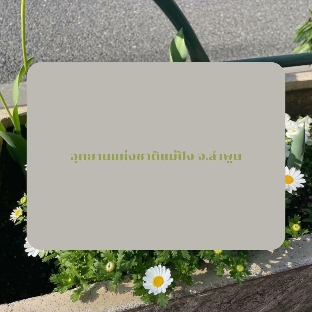 chamomilezone's tweet photo. ที่เที่ยวฮีลใจ
.
.
.
.
#chamomilezone #รับให้คำปรึกษา #จิตวิทยา #ปัญหาในชีวิต https://t.co/huwssewByg