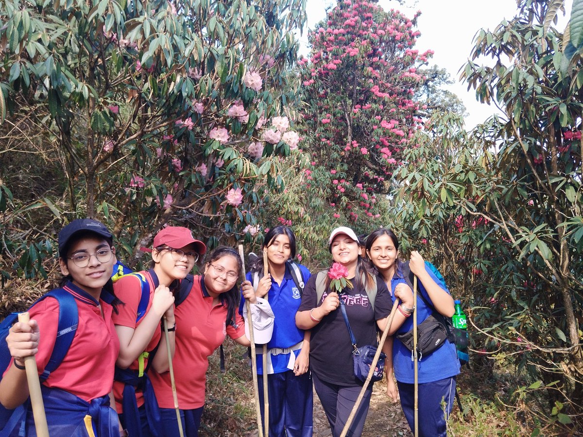 ShSsiliguri's tweet photo. Every Success creates a Culture! The Grade X &amp; XII Girls from Sacred Heart School must be congratulated along with their teachers  for completing an arduous 68 km trek in an altitude of 12,000 ft. 👏🎉🏔️🚶‍♀️
Glory be to Sacred Heart! https://t.co/SfAIZIyTap