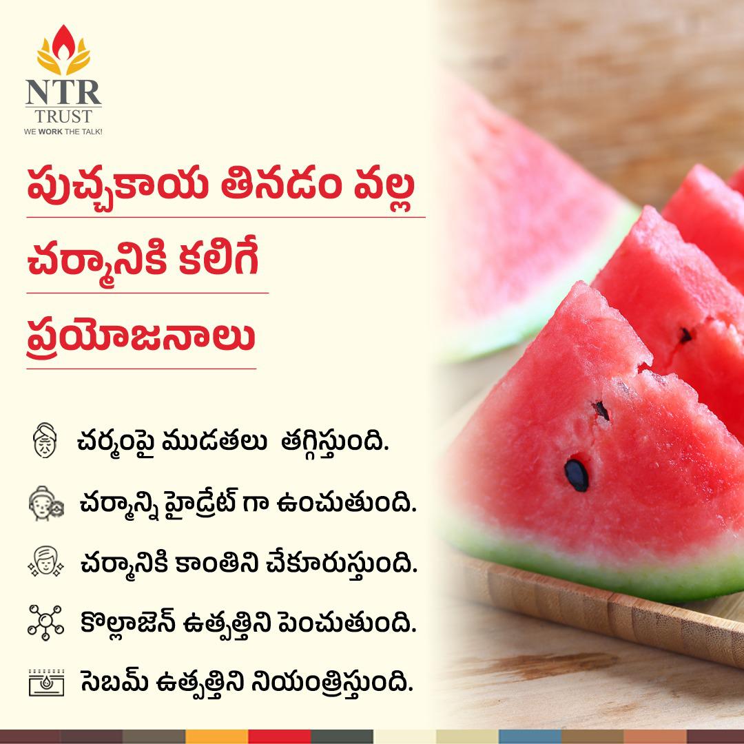 ntrtrust's tweet photo. పుచ్చకాయ తినడం వల్ల చర్మానికి కలిగే ప్రయోజనాలు
#NTRTrust #NTRMemorialTrust #health #healthtips #healthtipsdaily #healthtipsforyou #watermelon https://t.co/5PxwnAO2oH