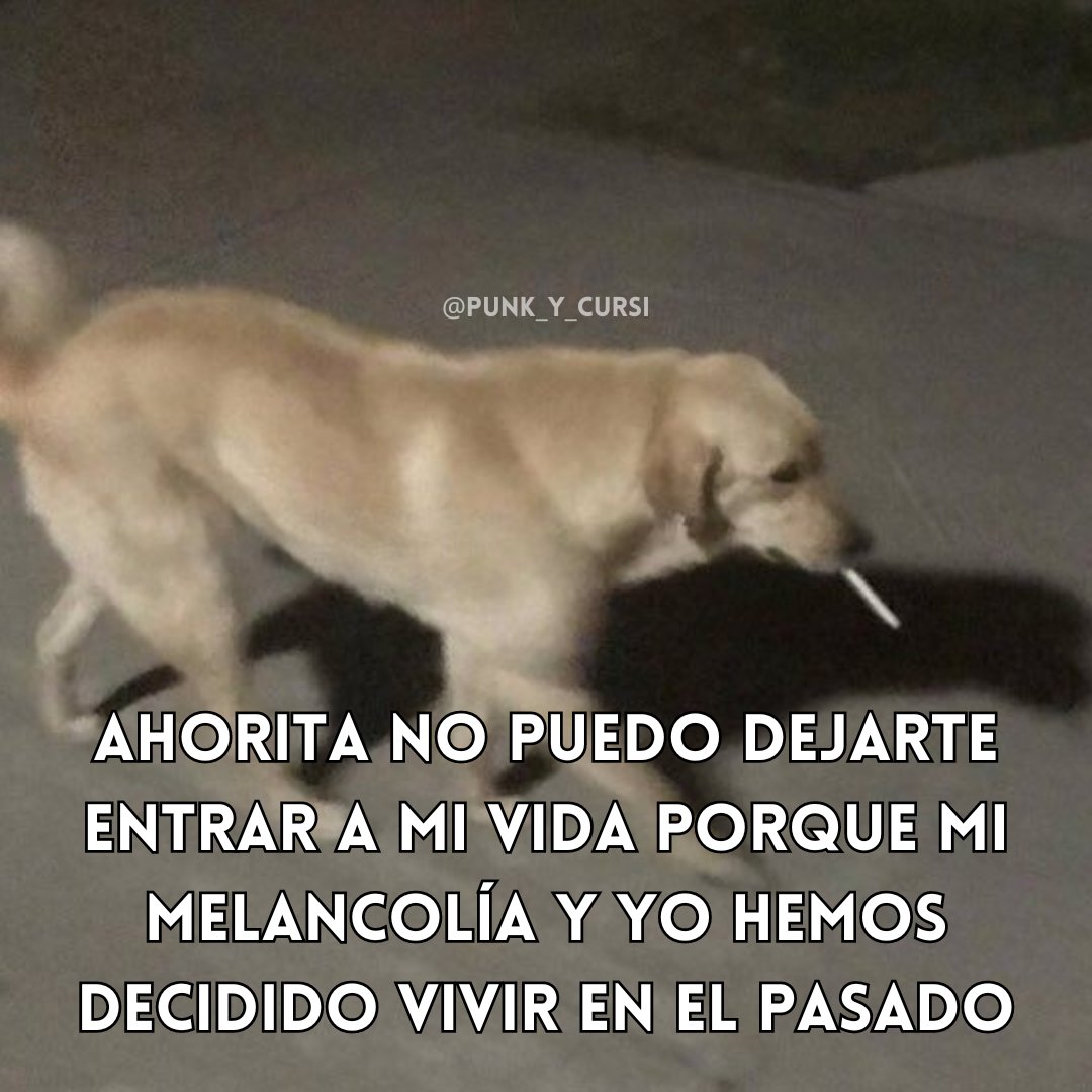 punk_y_cursi's tweet photo. 🚬🚬🚬 https://t.co/jVDZG42tHp