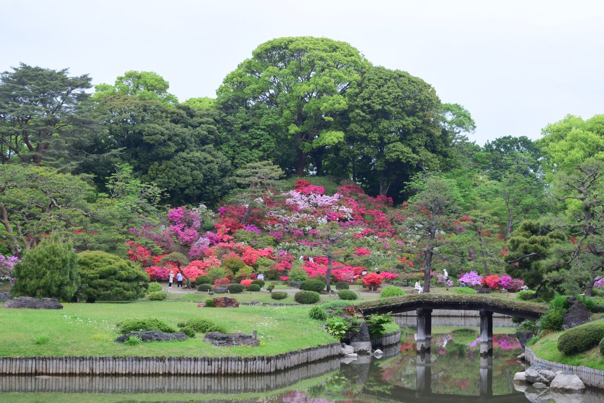 RikugienGarden tweet picture