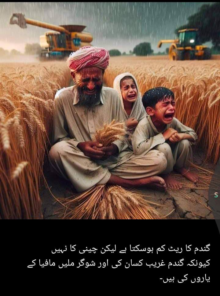 zebiofficial's tweet photo. انکی آواز کون سنے گا
@MaryamNSharif @CMShehbaz @GovtofPunjabPK @GovtofPakistan https://t.co/yMcPbjCUn8