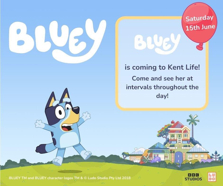 Bluey #maidstone