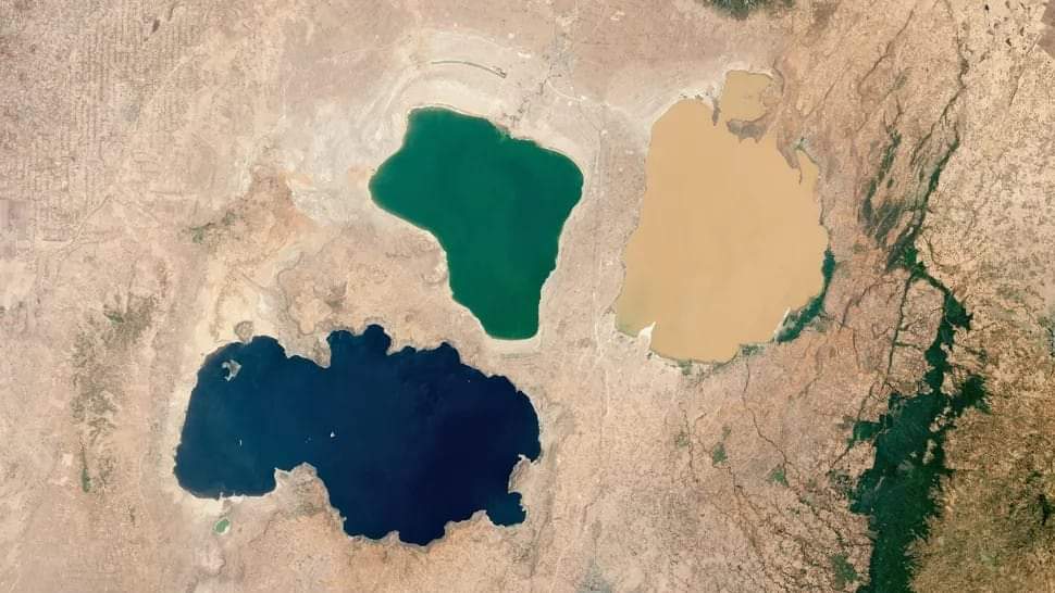 GeologistMiftah's tweet photo. የተለያየ መልክ ያላቸው ሶስቱ ጎረቤታም ሀይቆች፦

ሻላ ሀይቅ በስተግራ ፣ አብያታ ሀይቅ መሐል ላይ እና ላንጋኖ ሀይቅ በስተቀኝ

ከአካባቢያችን በመጀመር ምድራችንን ከአላስፈላጊ ቆሻሾችና ብክለት መጠበቅ የውዴታ ግዴታ ነው። https://t.co/CAj8g5j5mW