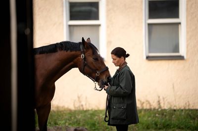 Viden og forebyggelse kan reducere hestes lidelser dlvr.it/T5tLyX