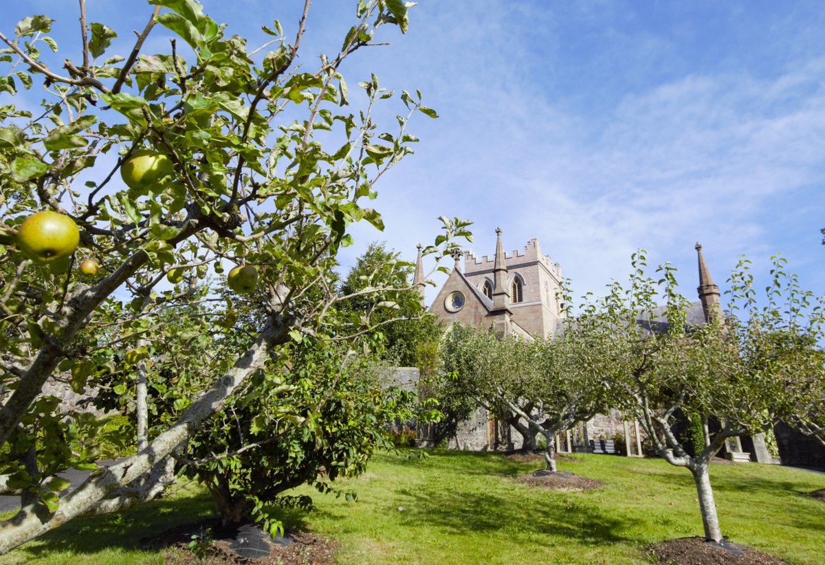 #OTD Brian Bóru died at the Battle of Clontarf. His remains were brought to Armagh, where he was laid to rest in the grounds of where St. Patrick's Anglican Cathedral now stands. #explorechurches