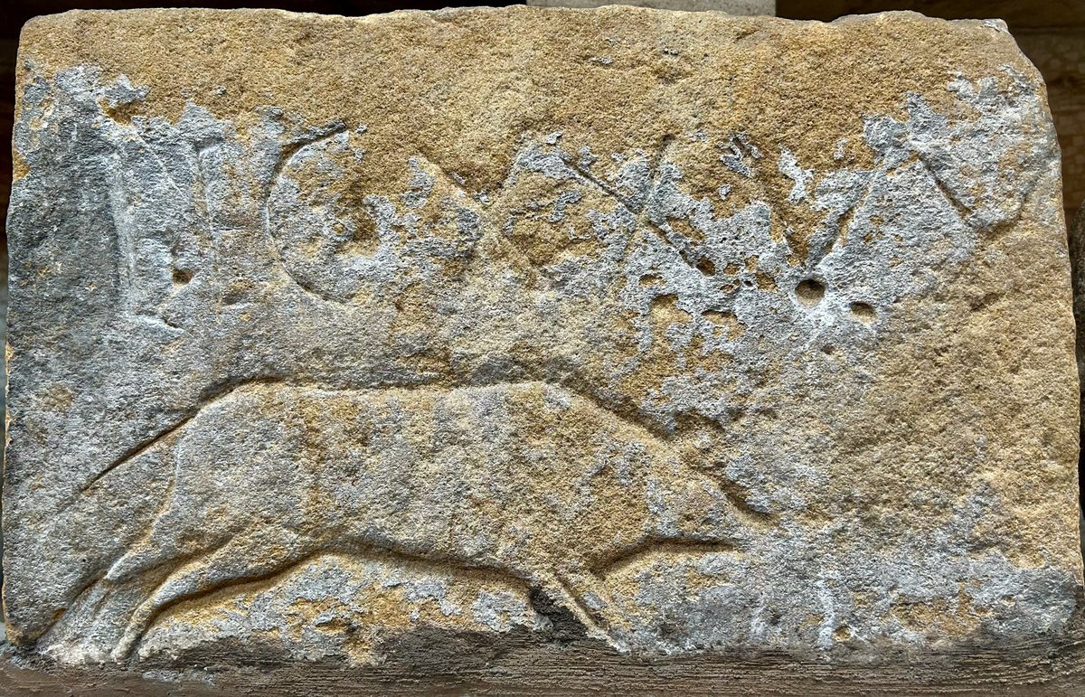 A building stone of the Twentieth Legion (Valeria Victrix), with the Legion’s wild boar emblem. The Legion was involved in the construction of Hadrian’s Wall. Now part of the collections at Chesters Roman Fort in Northumberland. #EpigraphyTuesday #RomanBritain 📸 My own.