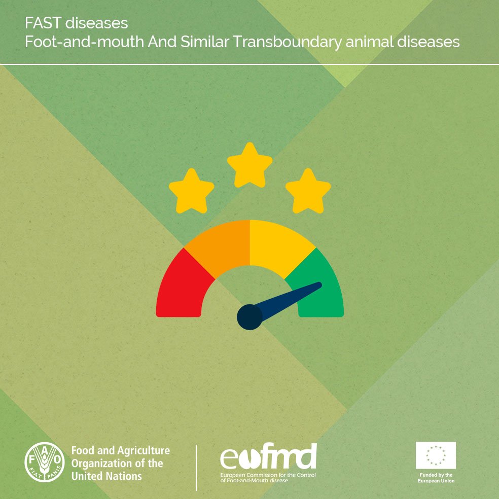 📢 How did the EuFMD Hold FAST in 2019-2023? Have a look at the independent evaluation of our programme, that focused on capacity development, tools and systems, risk reduction and overall FMD control. fao.org/eufmd/who-we-a…