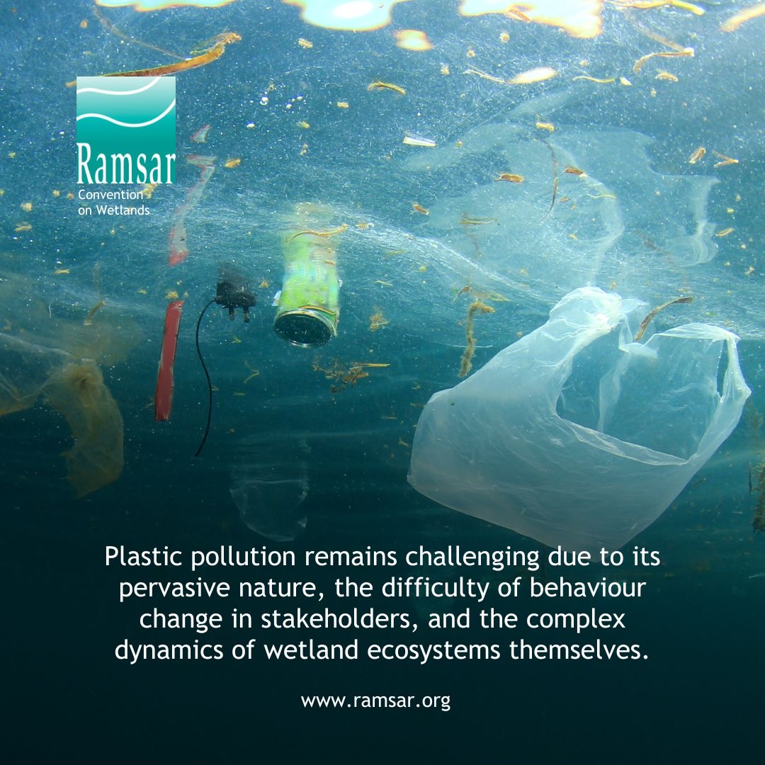 #INC4 | Addressing the crisis of plastic pollution in the most productive and sensitive ecosystems is essential, not just for the ecosystems themselves and the natural life that they support, but for human health and socio-economic wellbeing. ramsar.org/news/zero-wast…