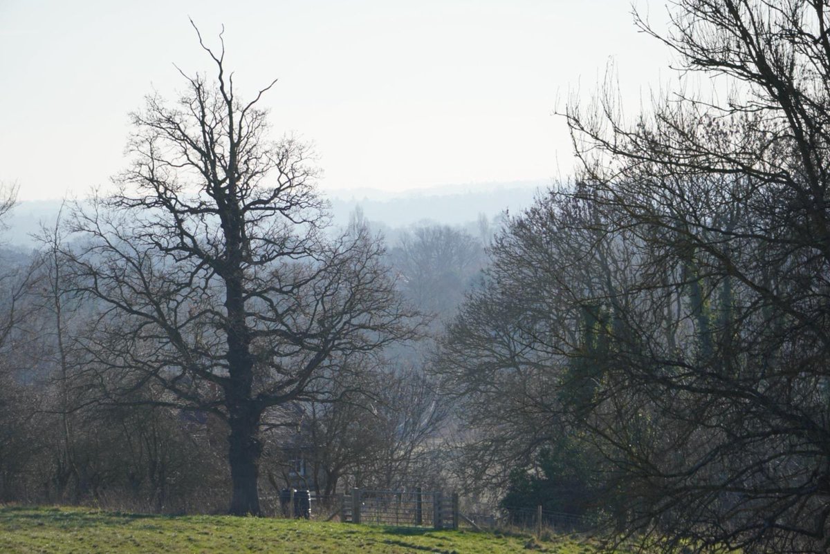 Walk your way to a good start to your day. We are so lucky to have the National Trust Hawkwood Estate on our doorstep. Send us your walk photos when you’re out and about in Chislehurst 🚶‍♀️ #chislehurst #chislehurstsociety