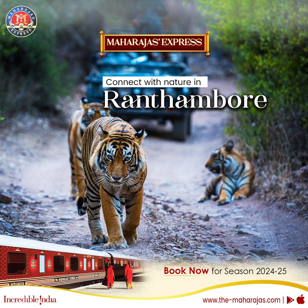 Witness the majesty of nature at the Ranthambore National Park with Maharajas' Express. Click the-maharajas.com to book a journey filled with #ScenicGetaways. #incredibleindia #india #maharajasexpress #LuxuryTrainTravel #maharajas #traveler #Vacation