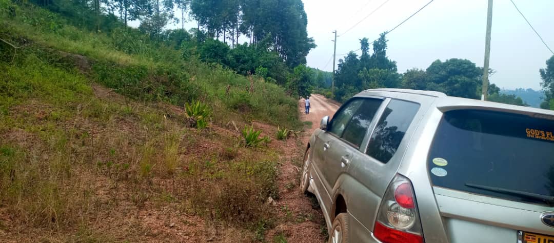 COMMERCIAL LAND ON SALE In Bujuuko, after Buloba along Mityana road 2km from the main road. It starts from the main feeder road Suitable for shops. SIZE: decimals With land title. Price : 40m Call/WhatsApp @mugabi_praise 0706147006/0783821918