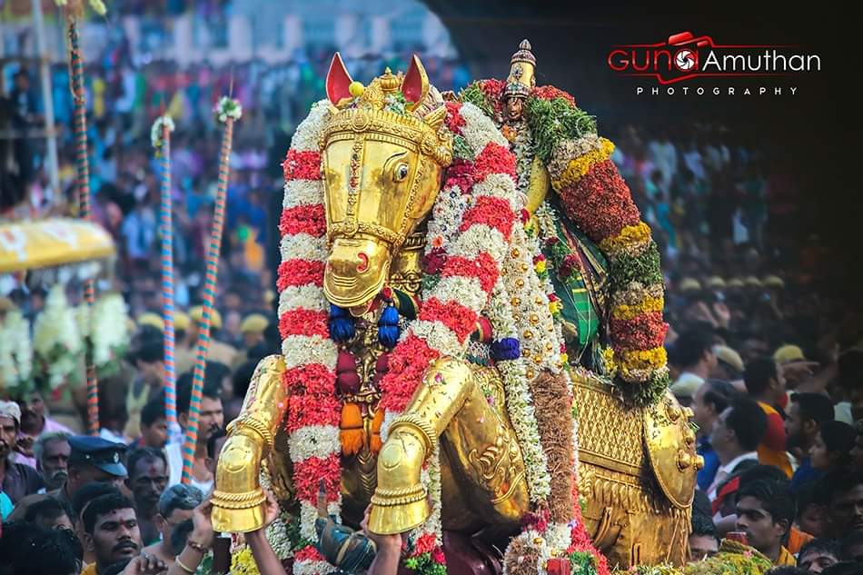 #Azhagar
#Kallazhagar 
#ChithiraiThiruvizha 
#ChithiraiFestival2024 
#Madurai