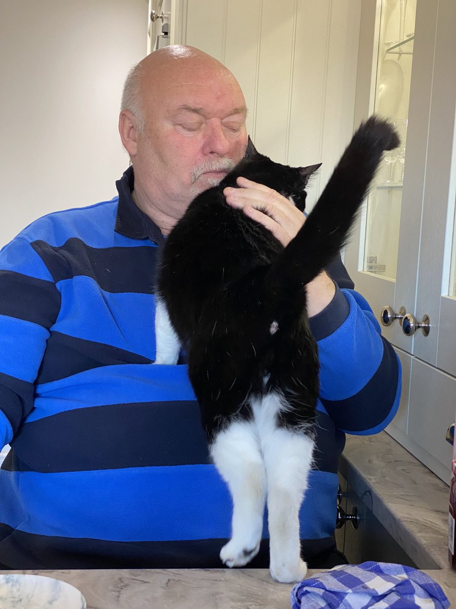 SpanielsSuper's tweet photo. @Conduitandsh She fully accepts the insignificance of her position in the pecking order
Dad is my #PreferredHuman
Mum is the #SpareHuman
Dogs are #MyToys
I love my dad ❤️❤️❤️ https://t.co/UKrhwqhjeB