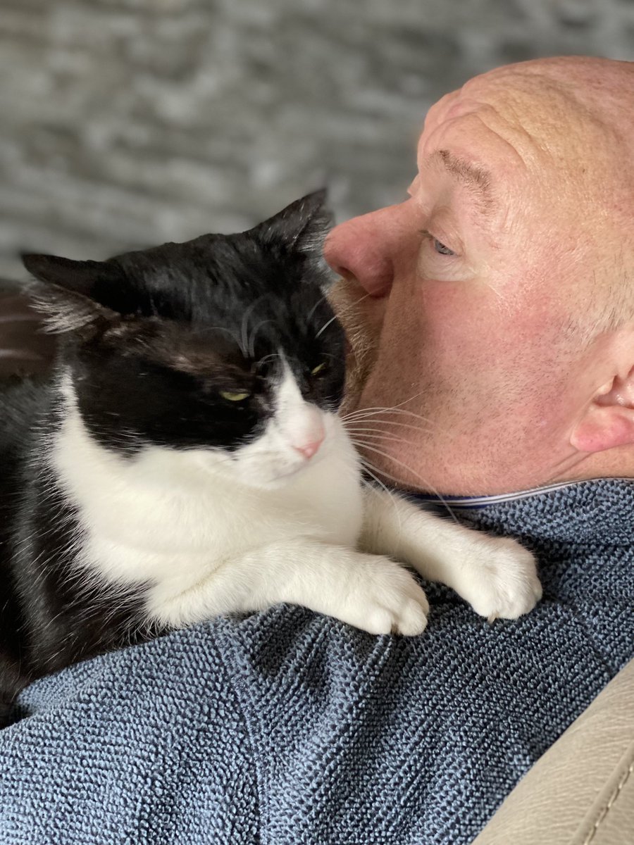 SpanielsSuper's tweet photo. @Conduitandsh She fully accepts the insignificance of her position in the pecking order
Dad is my #PreferredHuman
Mum is the #SpareHuman
Dogs are #MyToys
I love my dad ❤️❤️❤️ https://t.co/UKrhwqhjeB