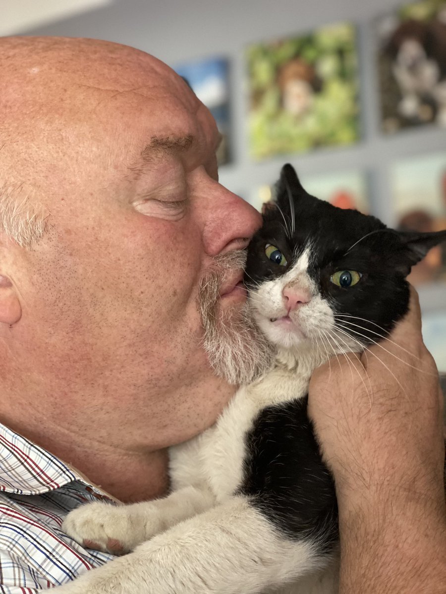 SpanielsSuper's tweet photo. @Conduitandsh She fully accepts the insignificance of her position in the pecking order
Dad is my #PreferredHuman
Mum is the #SpareHuman
Dogs are #MyToys
I love my dad ❤️❤️❤️ https://t.co/UKrhwqhjeB