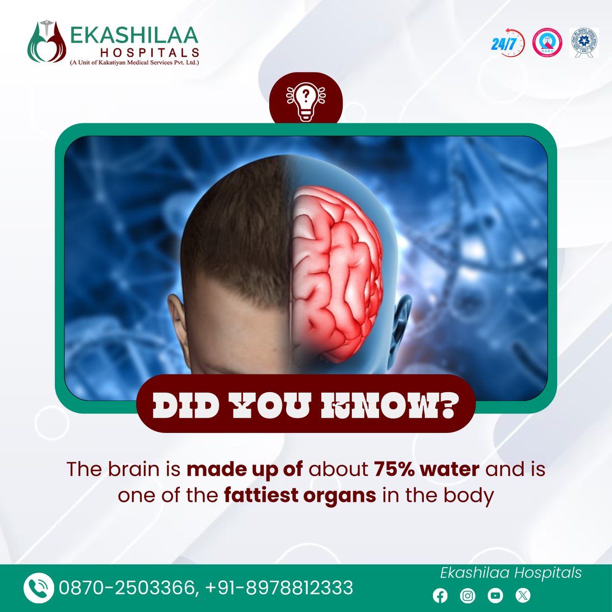 Did you know? The brain, made up of 75% water, is one of the fattiest organs in the body! #brainfacts #doyouknow #ekashilaahospital #warangal #BrainFacts #BrainPower #BrainHealth #BrainScience #BrainFunction