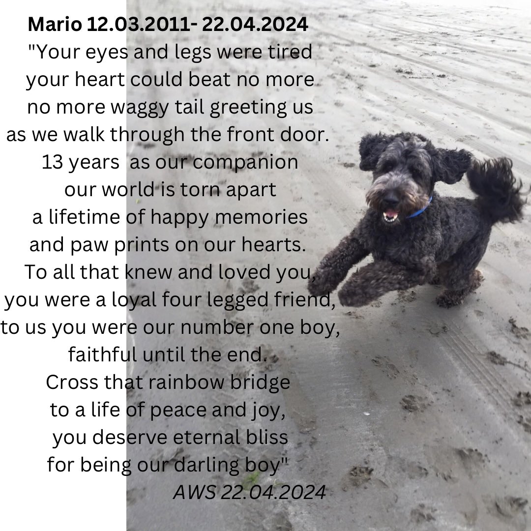 Angharad Smiriglia tweet media